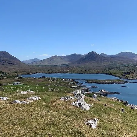 Nyaraló Red Deer Near Connemara National Park In
