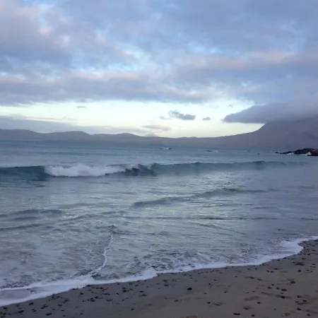 Red Deer Near Connemara National Park In 別荘 レターフラック