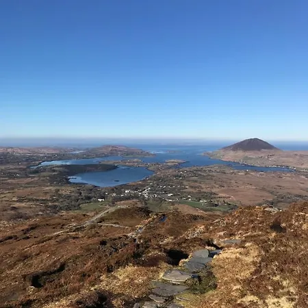 Red Deer Near Connemara National Park In レターフラック