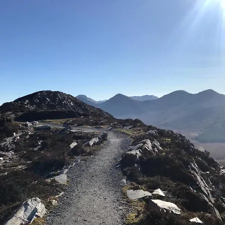 Nyaraló Red Deer Near Connemara National Park In Letterfrack