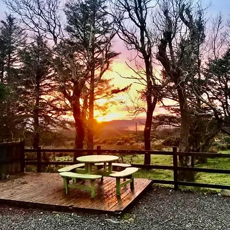 Nyaraló Red Deer Near Connemara National Park In Letterfrack