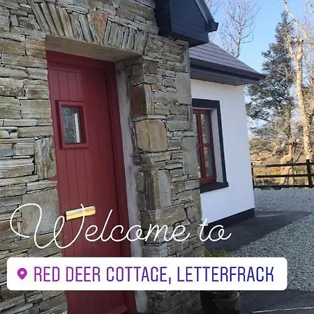 Red Deer Near Connemara National Park In Nyaraló