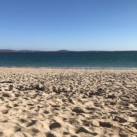 Red Deer Near Connemara National Park In *