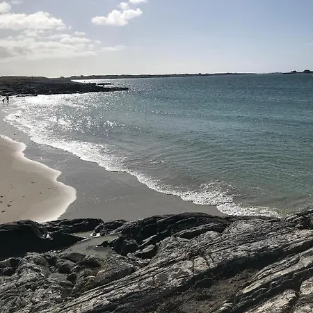 別荘 Red Deer Near Connemara National Park In *