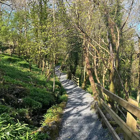 Red Deer Near Connemara National Park In 別荘 *