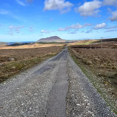 Red Deer Near Connemara National Park In * レターフラック