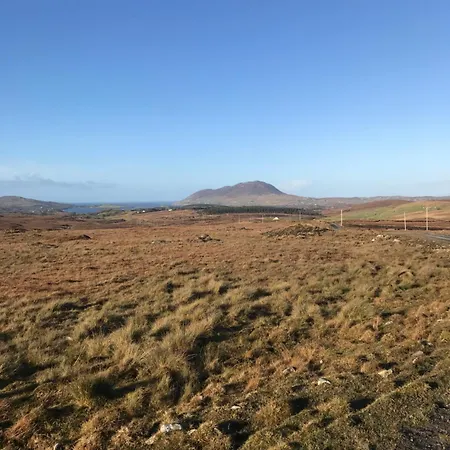 Red Deer Near Connemara National Park In