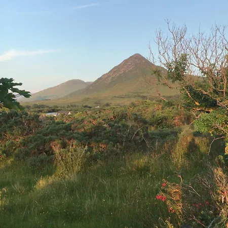 Nyaraló Red Deer Near Connemara National Park In Letterfrack