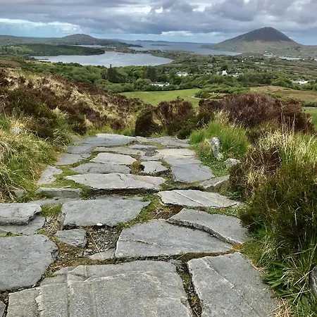 Red Deer Near Connemara National Park In 別荘