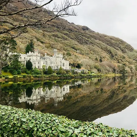 Red Deer Near Connemara National Park In 別荘 レターフラック