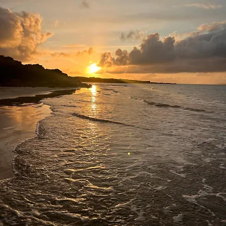Nyaraló Red Deer Near Connemara National Park In *