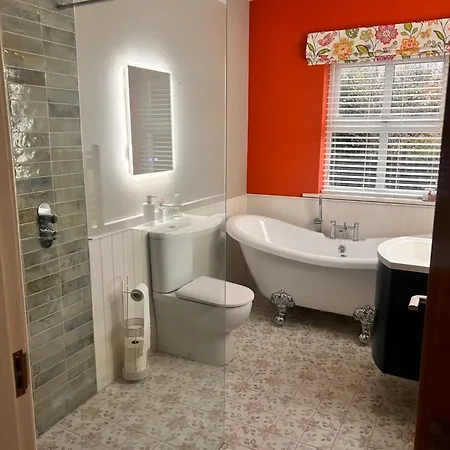 Red Deer Near Connemara National Park In 別荘 レターフラック