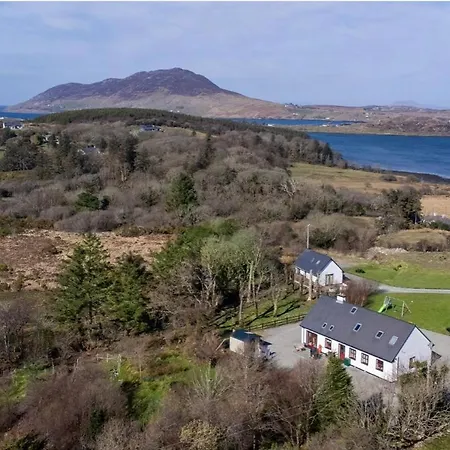 Red Deer Near Connemara National Park In 度假居 莱特弗拉克