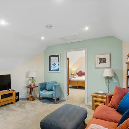 Nyaraló Red Deer Near Connemara National Park In