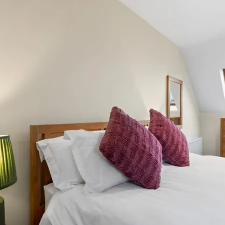 Red Deer Near Connemara National Park In 別荘 レターフラック