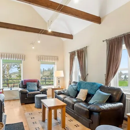 Red Deer Near Connemara National Park In 莱特弗拉克