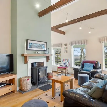 Red Deer Near Connemara National Park In * Letterfrack