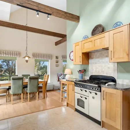 Red Deer Near Connemara National Park In