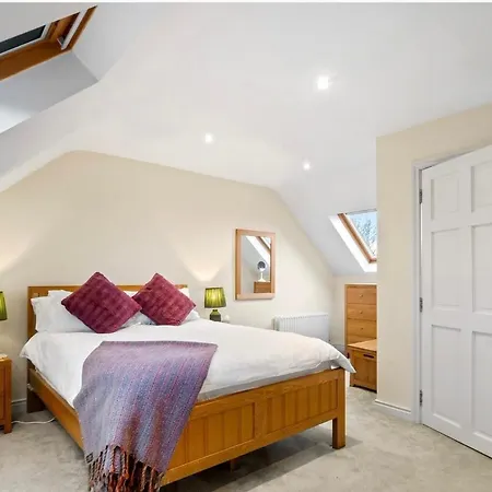 別荘 Red Deer Near Connemara National Park In