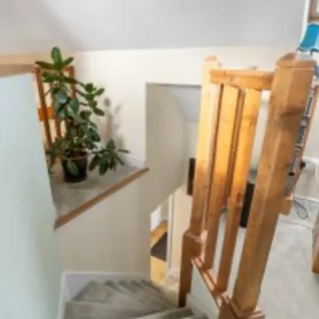 Red Deer Near Connemara National Park In 別荘 レターフラック