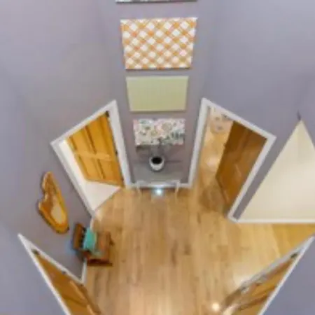 Red Deer Near Connemara National Park In *