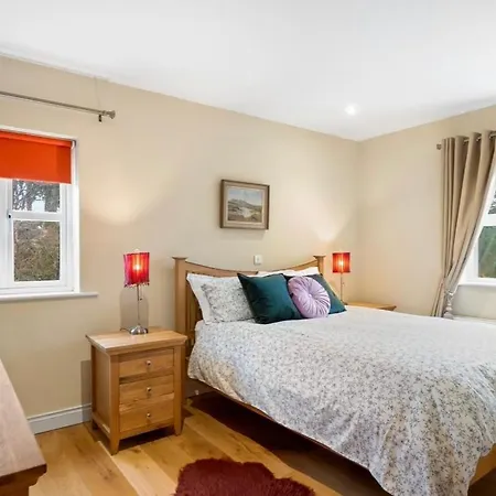 Red Deer Near Connemara National Park In Nyaraló Letterfrack