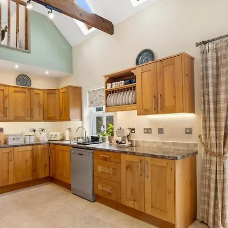 Red Deer Near Connemara National Park In * レターフラック